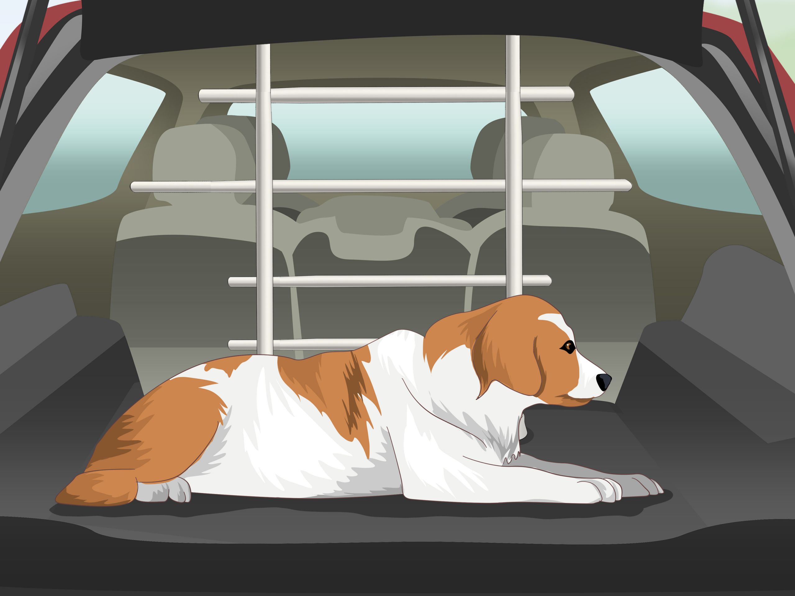 DIY Dog Barrier
 How to Build a Dog Barrier for Your Vehicle 11 Steps
