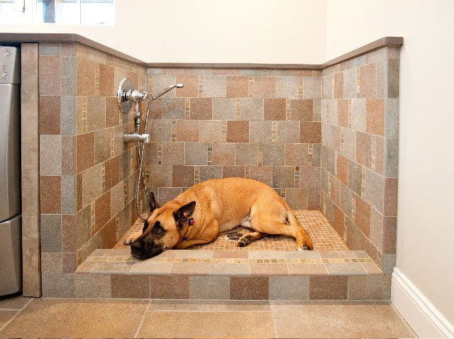 DIY Dog Bathing
 15 Doggone Good Tips for a Pet Washing Station