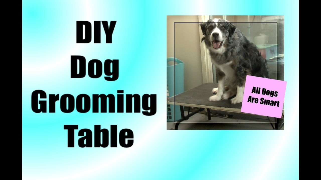 DIY Dog Bathing
 DIY Grooming Table