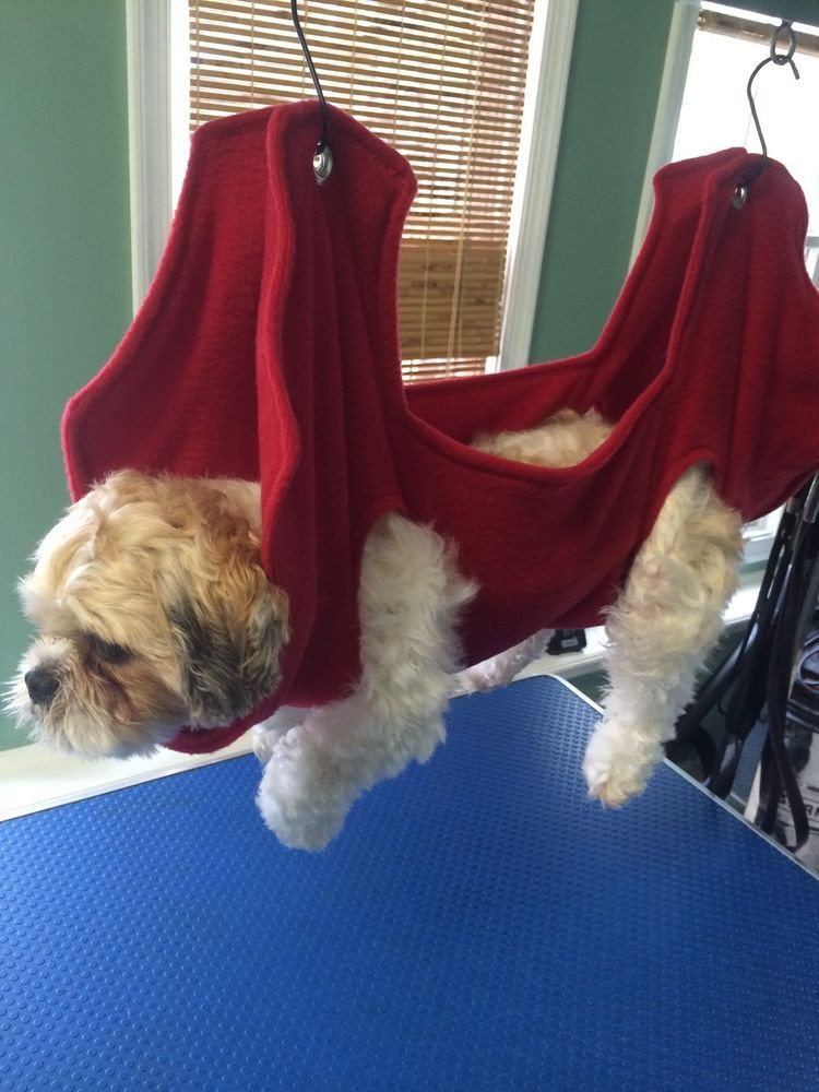 DIY Dog Bathing
 dog grooming hammock can diy a version for mobility