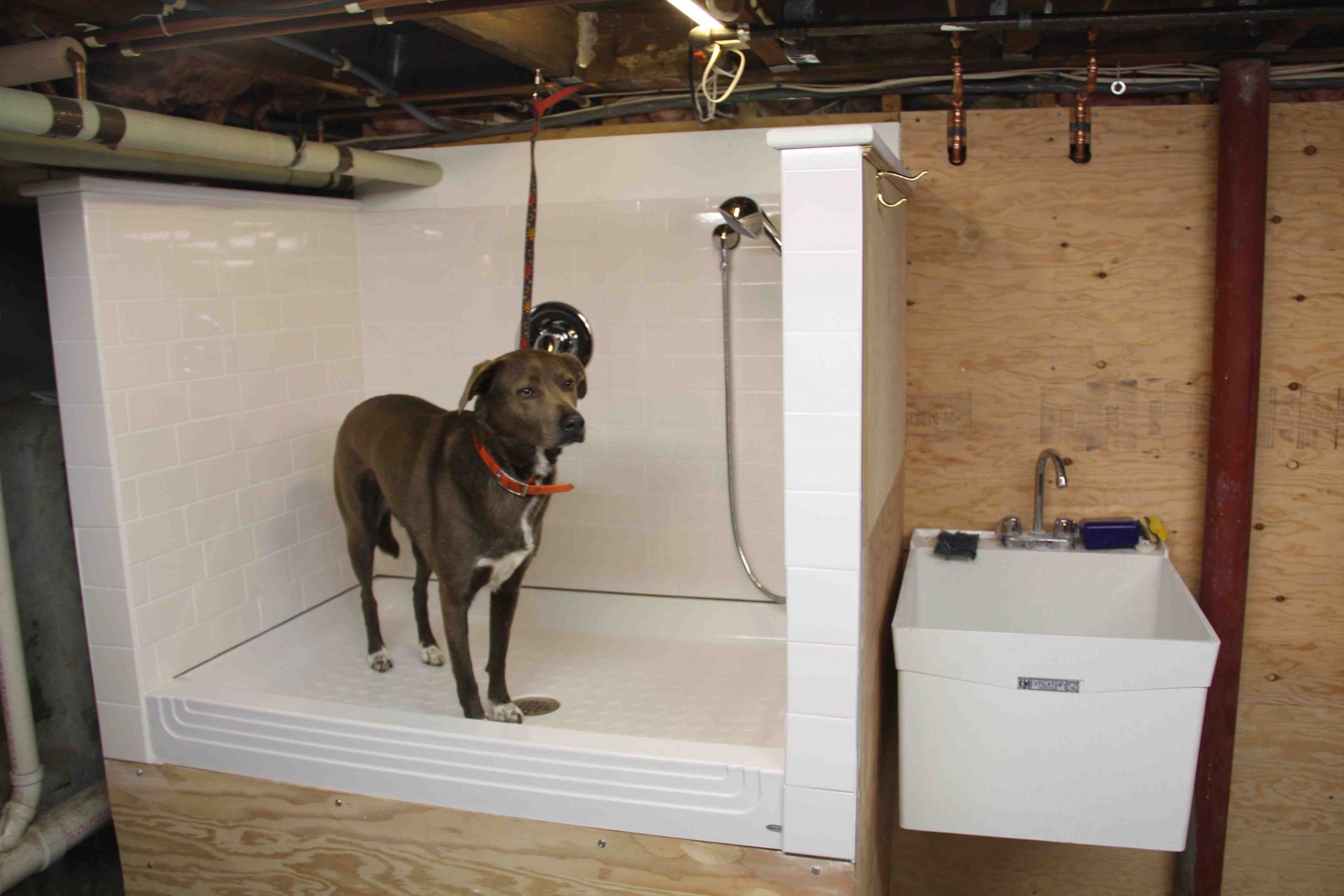 DIY Dog Bathing
 How To Build A Dog Wash Station DIY