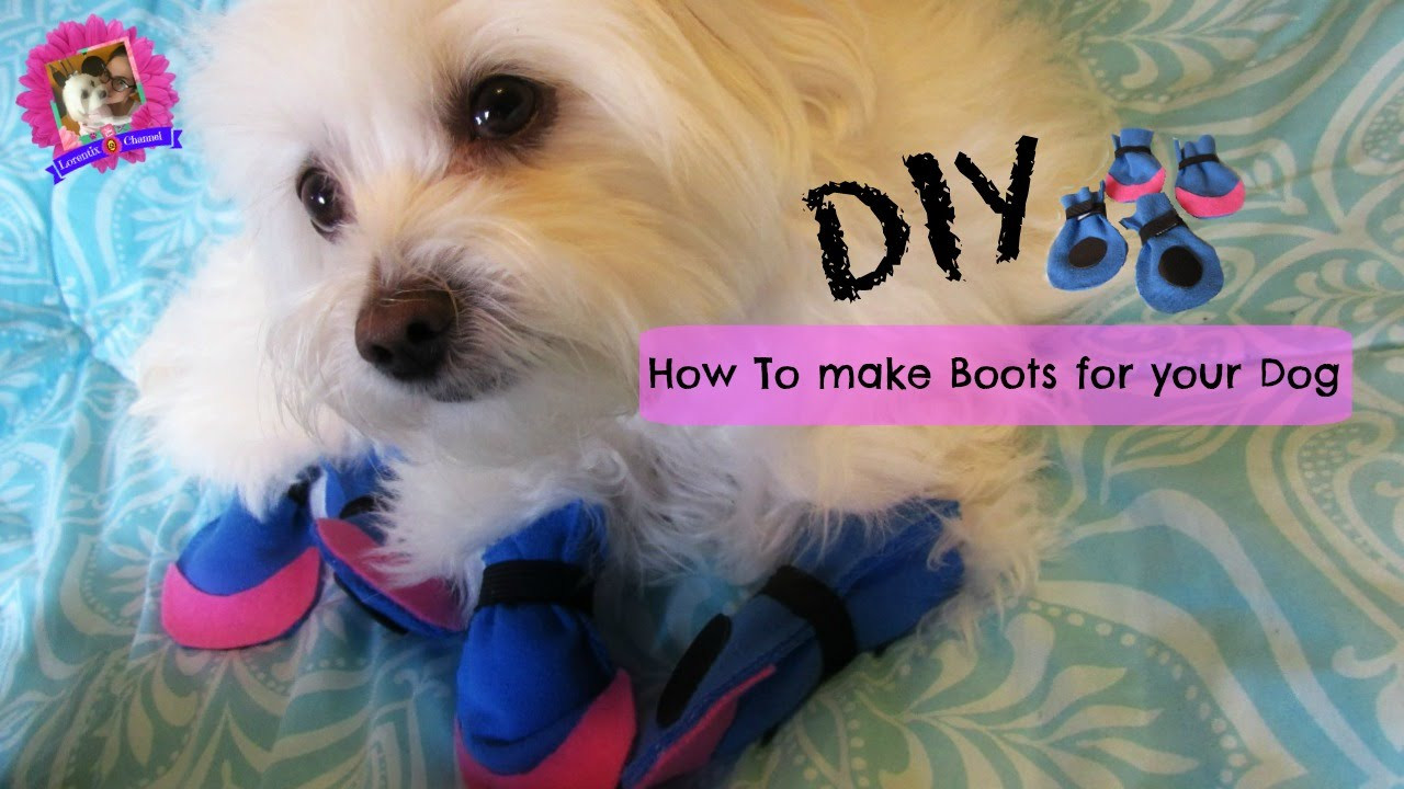 DIY Dog Booties No Sew
 How to make boots for dogs DIY NO SEWING Coton de