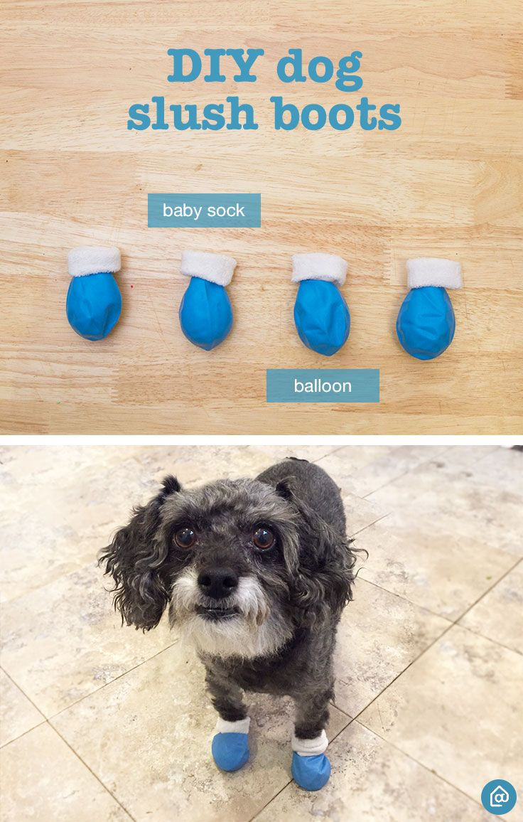 DIY Dog Booties No Sew
 849 best DIY Dog Projects images on Pinterest