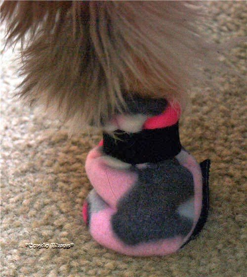 DIY Dog Booties No Sew
 Condo Blues How to Make Dog Boots