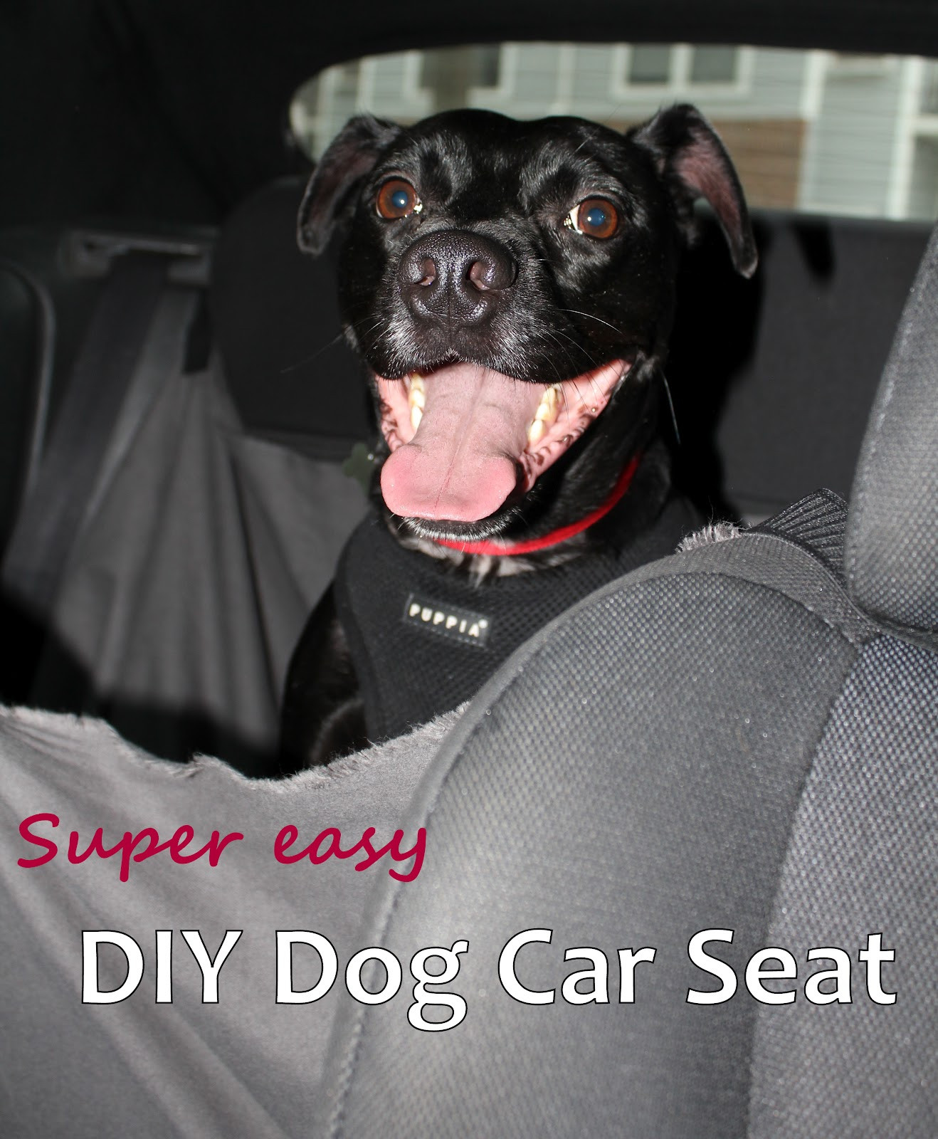 DIY Dog Car Booster Seat
 homevolution DIY Dog Car Seat Hammock