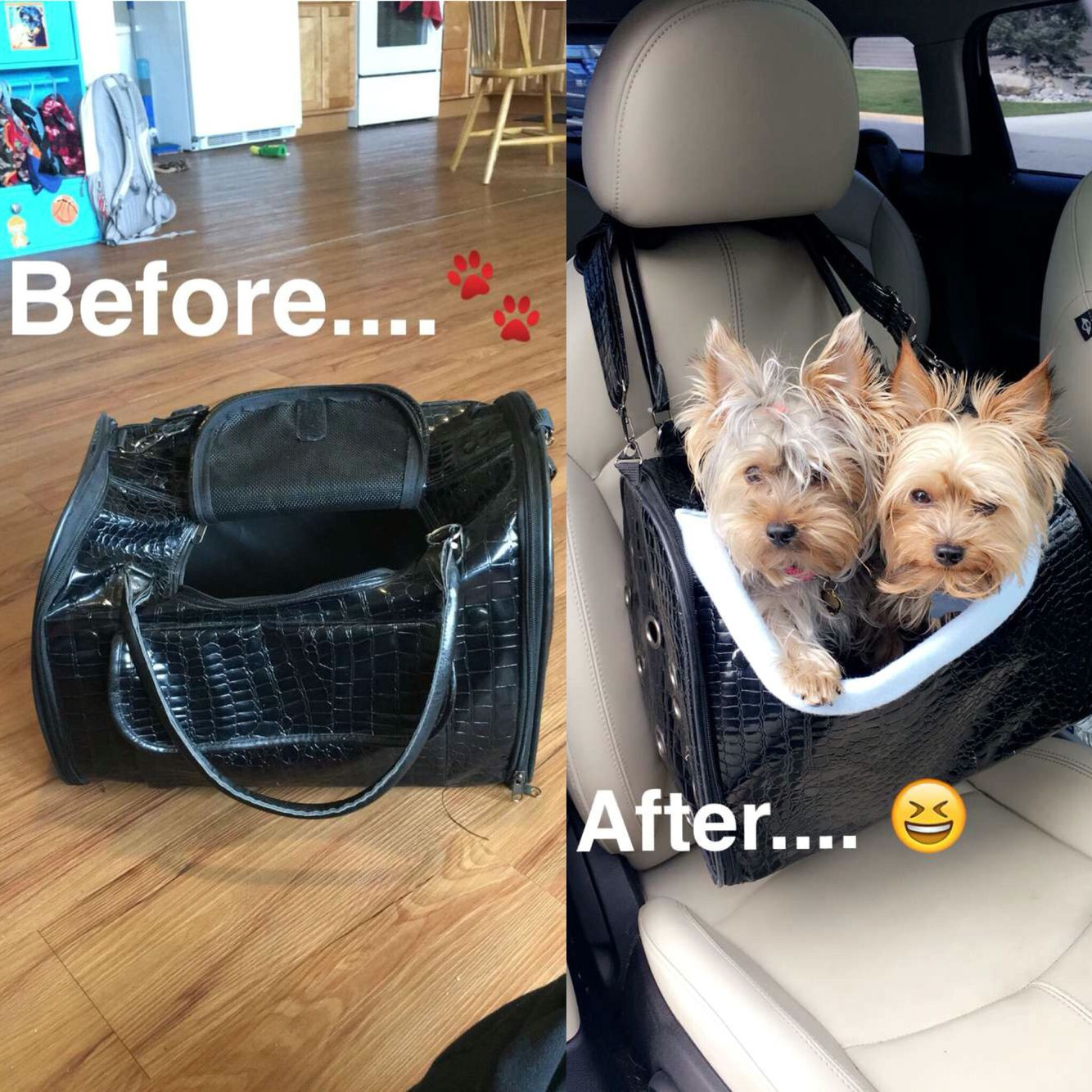 DIY Dog Car Booster Seat
 DIY dog car seat made from an old suitcase I got at