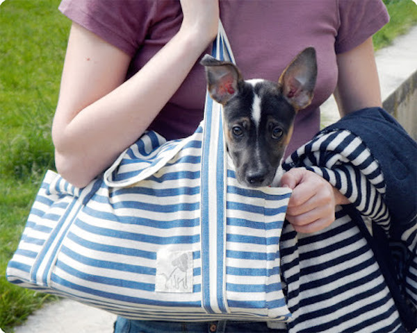 DIY Dog Carrier
 13 DIY Dog Travel Accessories To Make Your Next Outing