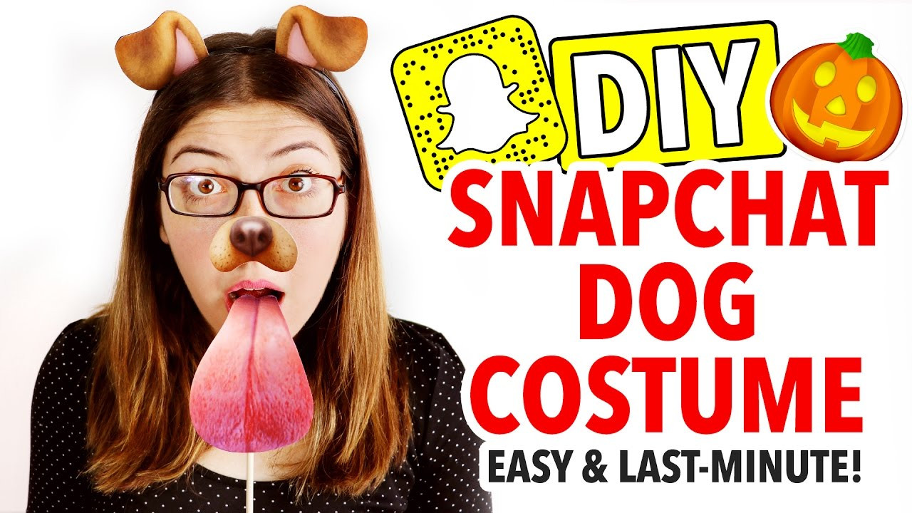 DIY Dog Filter Costume
 DIY Snapchat Dog Costume Last Minute Halloween Idea