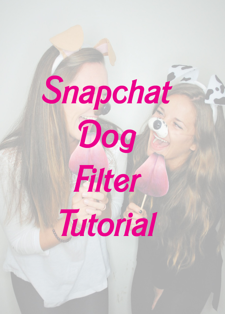 DIY Dog Filter Costume
 DIY Snapchat Dog Filter Tutorial — Tesni Alys