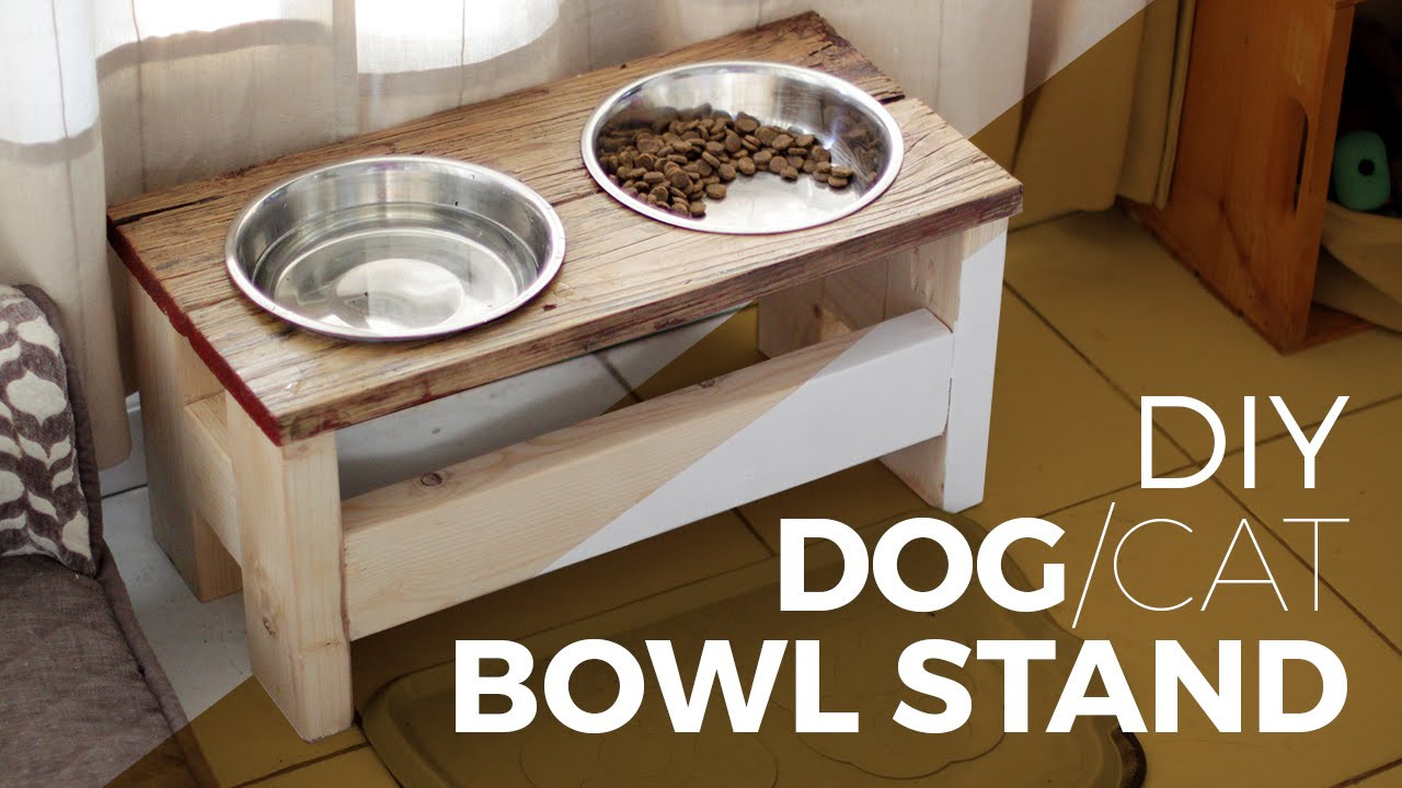 DIY Dog Food Stand
 How to make a Dog Bowl Stand DIY or Cat