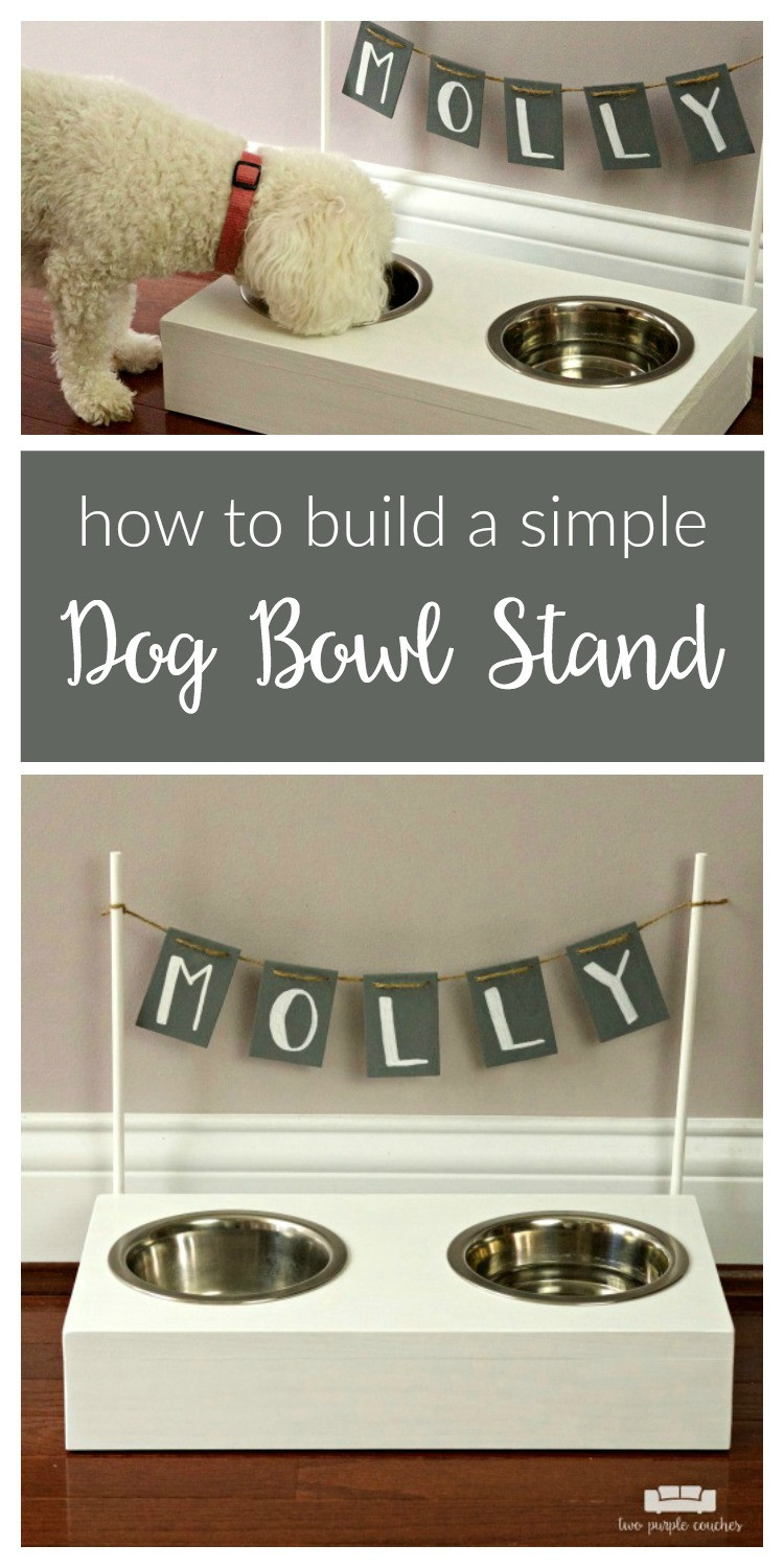 DIY Dog Food Stand
 DIY Dog Bowl Stand two purple couches