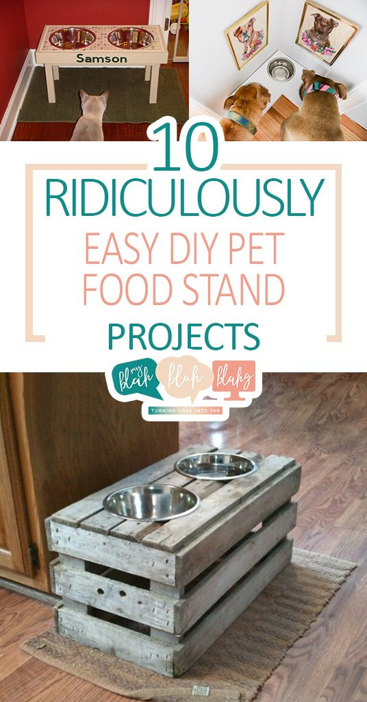 DIY Dog Food Stand
 10 Ridiculously Easy DIY Pet Food Stand Projects