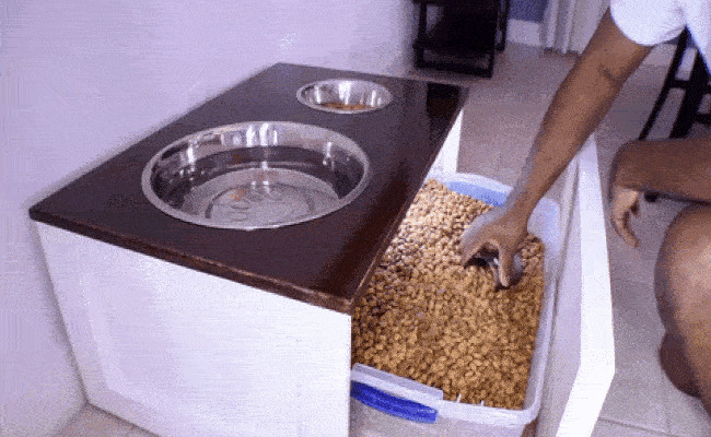DIY Dog Food Stand
 DIY Dog Bowl Stand Genius