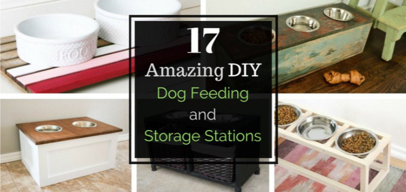 DIY Dog Food Storage
 17 Amazing DIY Dog Feeding Stations and Storage