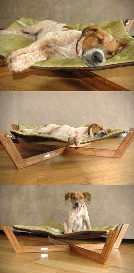 DIY Dog Hammock Bed
 Hammock