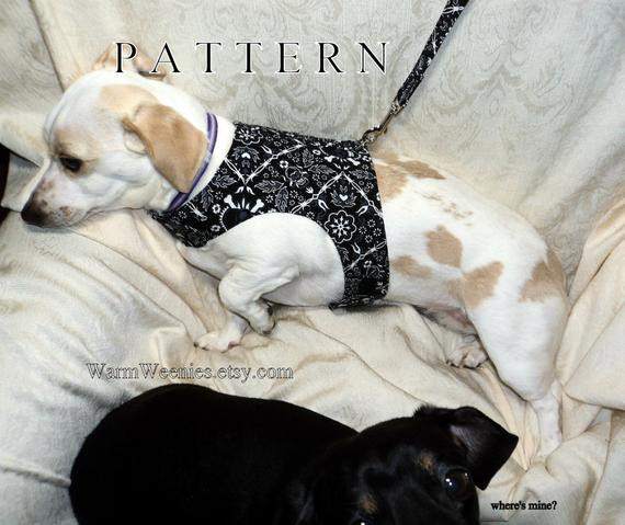 DIY Dog Harness Pattern
 Dachshund small dog harness sewing pattern with by WarmWeenies