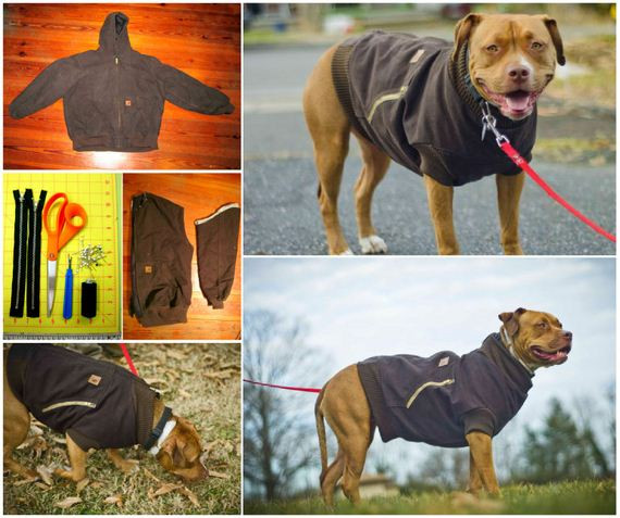 DIY Dog Life Jacket
 DIY Pet Coat and Sweater Sew Tutorials DIYCraftsGuru
