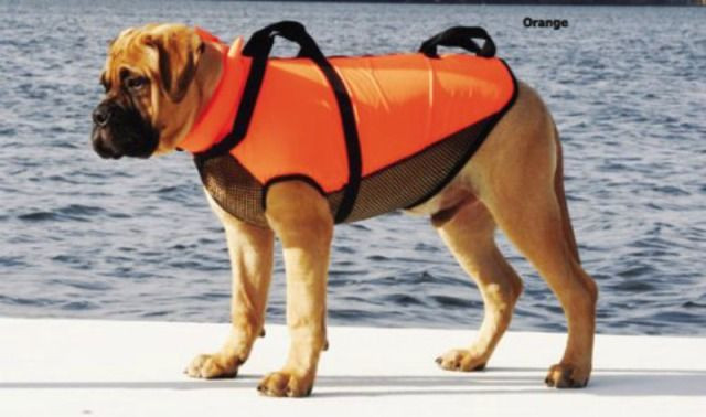 DIY Dog Life Jacket
 7 Best Life Jackets For Dogs Tips Reviews And