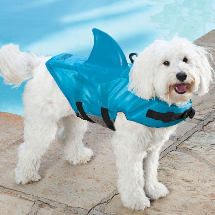 DIY Dog Life Jacket
 Shark Fin Life Jacket for Dogs Steven Spielberg s PAWS