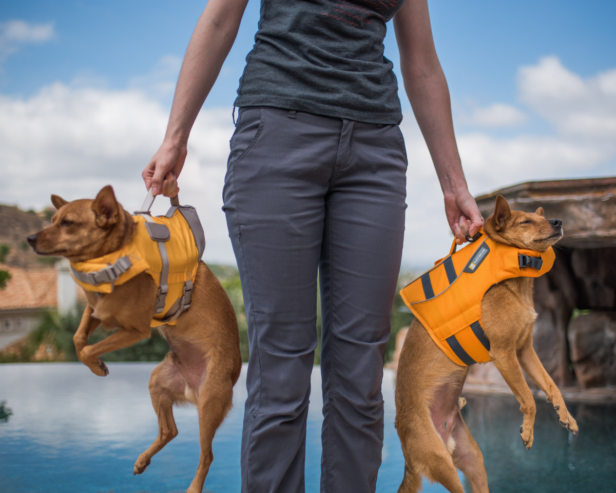 DIY Dog Life Jacket
 Ruffwear Float Coat – robinventures