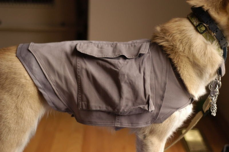 DIY Dog Life Jacket
 11 DIY Dog Hacks That ll Change Your Life