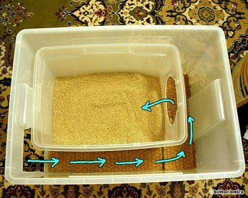 DIY Dog Litter Box
 With lids on of course So litter won t tracked