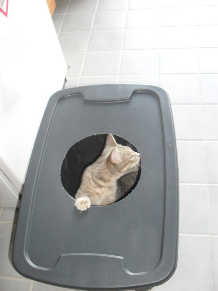 DIY Dog Litter Box
 this is one of the best pinterest I have ever used not