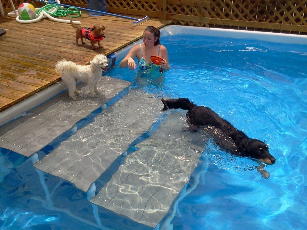 DIY Dog Ramp For Above Ground Pool
 pool steps … decorating ideas