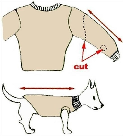 DIY Dog Sweater No Sew
 How To Turn Old Sweaters and Sweatpants Into No Sew Dog