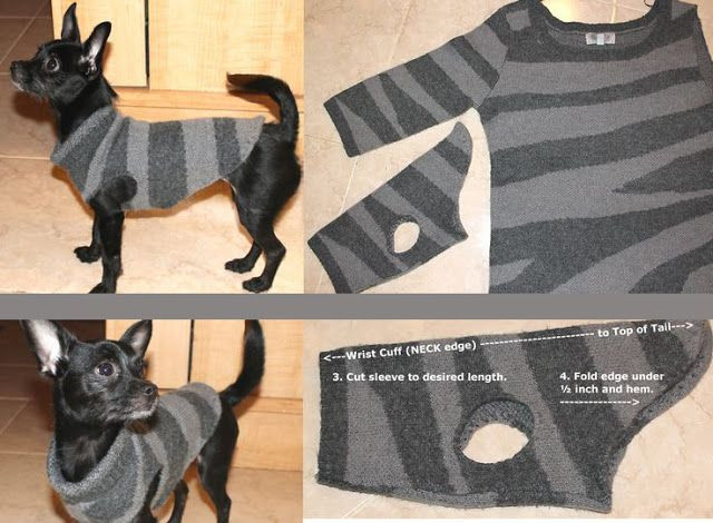 DIY Dog Sweater No Sew
 7 Best images about For the puppies on Pinterest
