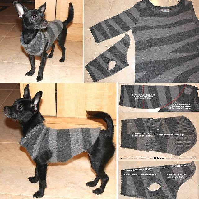 DIY Dog Sweater No Sew
 DIY Dog Sweater from Old Sweater