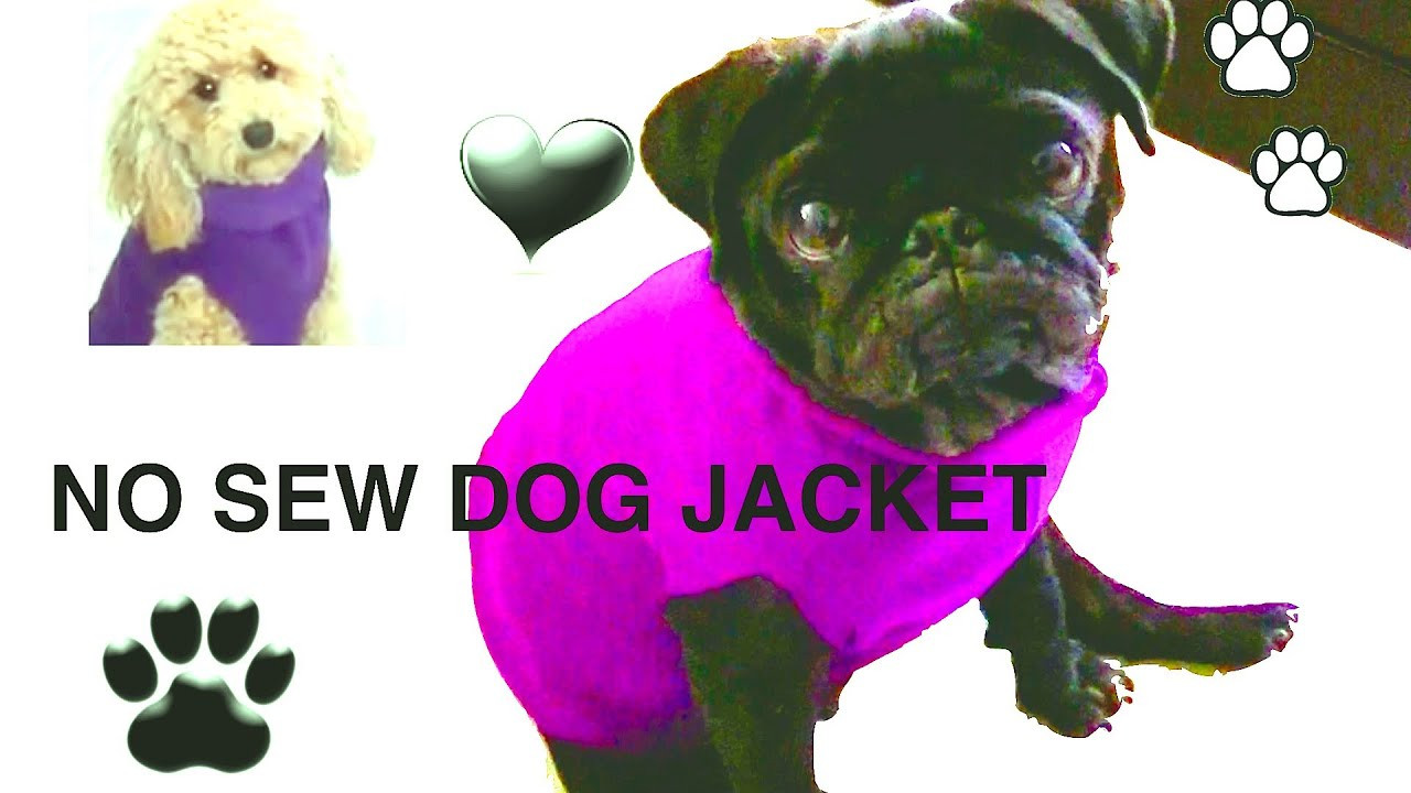 DIY Dog Sweater No Sew
 NO SEW DOG JACKET DIY Dog clothes a tutorial by