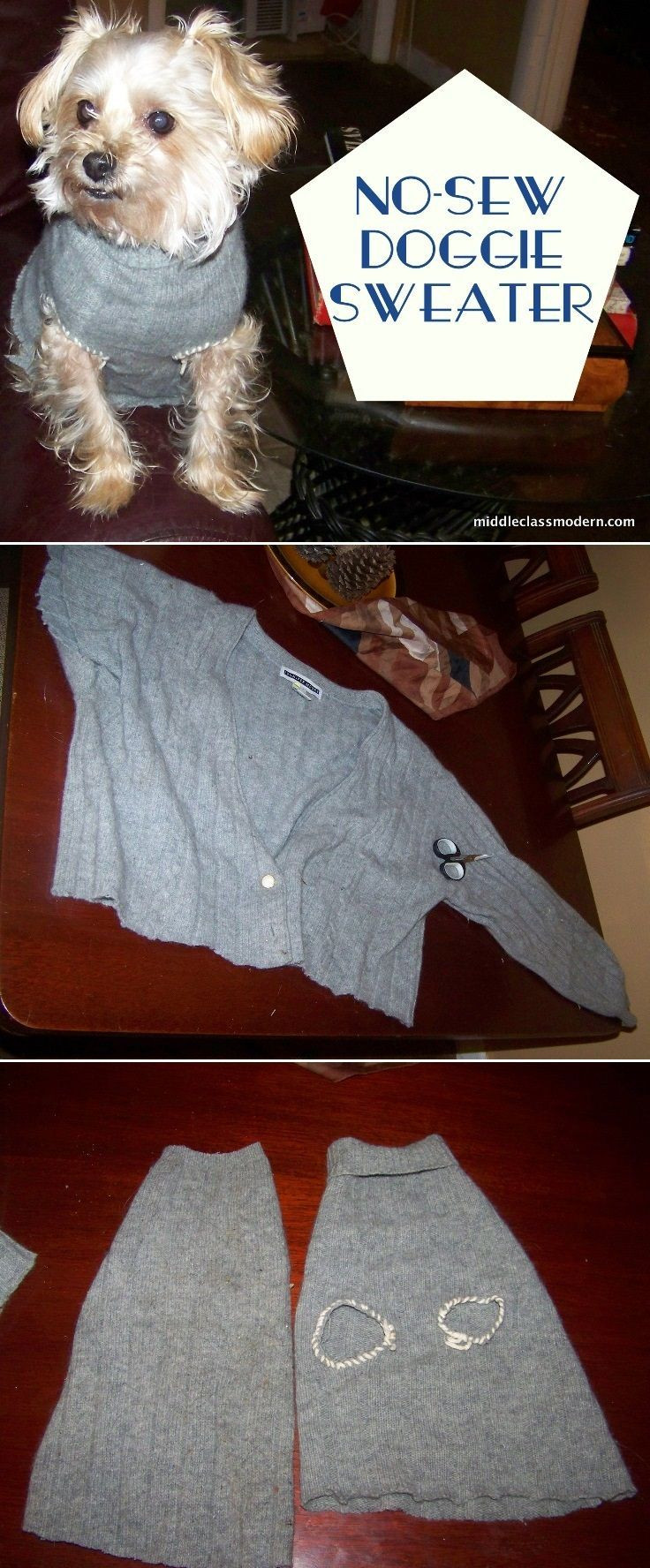 DIY Dog Sweater No Sew
 A No Sew Dog Sweater Cute DIY Pet Clothes sewing