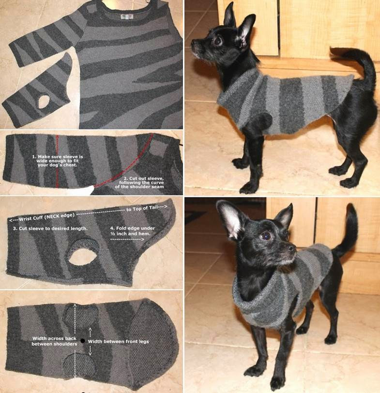DIY Dog Sweater No Sew
 How to Make a Sweater for Your Dog NO SEW DIY Craft