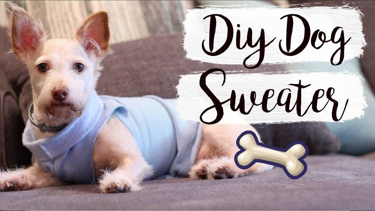 DIY Dog Sweater No Sew
 Easy DIY Dog Sweater No Sew
