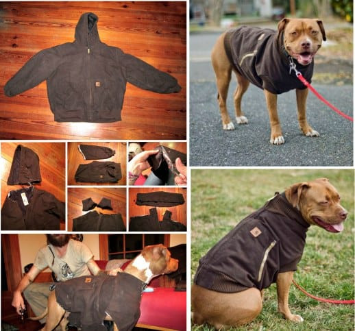 DIY Dog Sweatshirt
 DIY Dog Coat Pattern Quick and Easy Project Video Tutorial