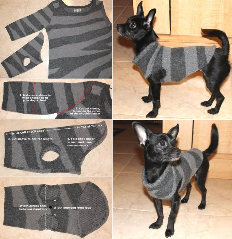 DIY Dog Sweatshirt
 DIY Dog Sweater from Old Sweater