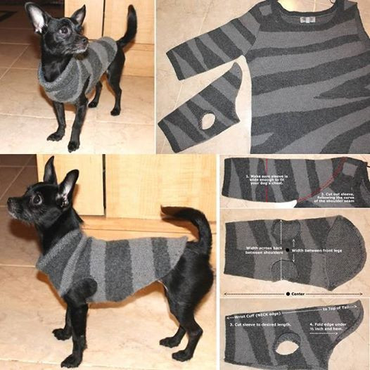 DIY Dog Sweatshirt
 Wonderful DIY Recycled Dog and Cat Sweater