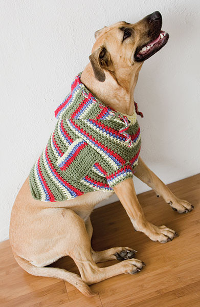 DIY Dog Sweatshirt
 35 DIY Dog Coats