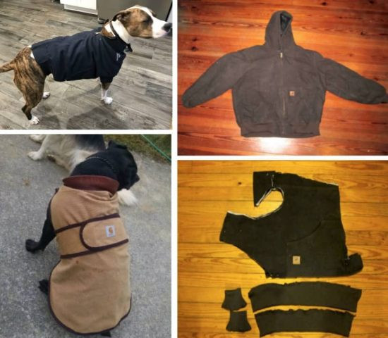 DIY Dog Sweatshirt
 DIY Dog Coat Pattern Quick and Easy Project Video Tutorial