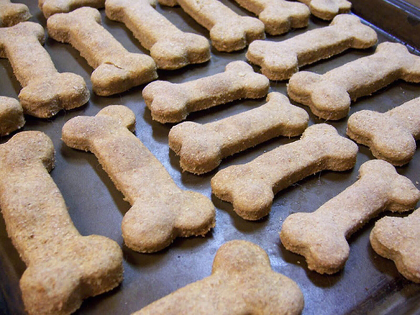 DIY Dog Treats
 Pamper Your Pooch With These 5 Homemade Vegan Dog Treats