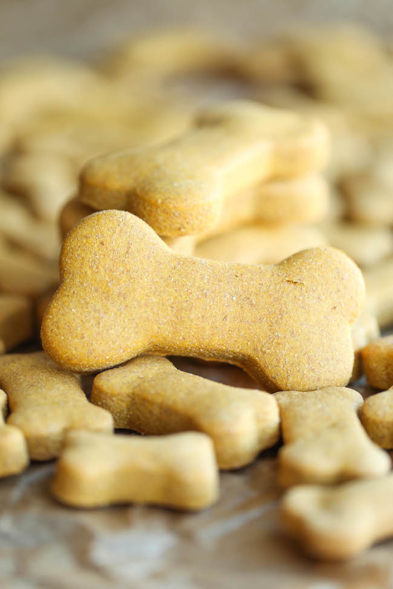 DIY Dog Treats
 Homemade Peanut Butter Dog Treats Recipe