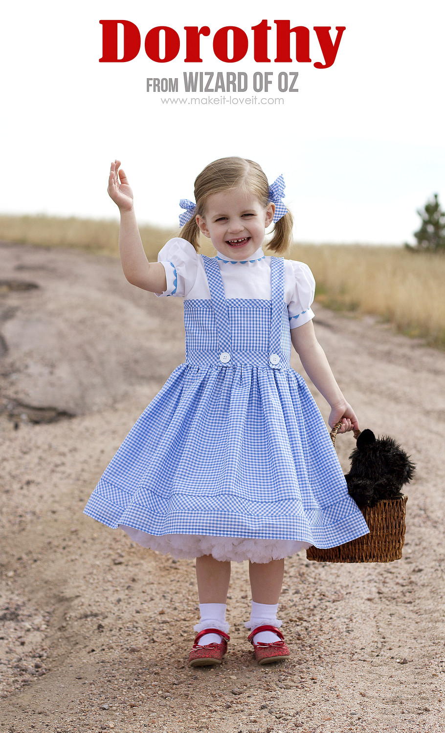 Best 35 Diy Dorothy Costume Home, Family, Style and Art Ideas