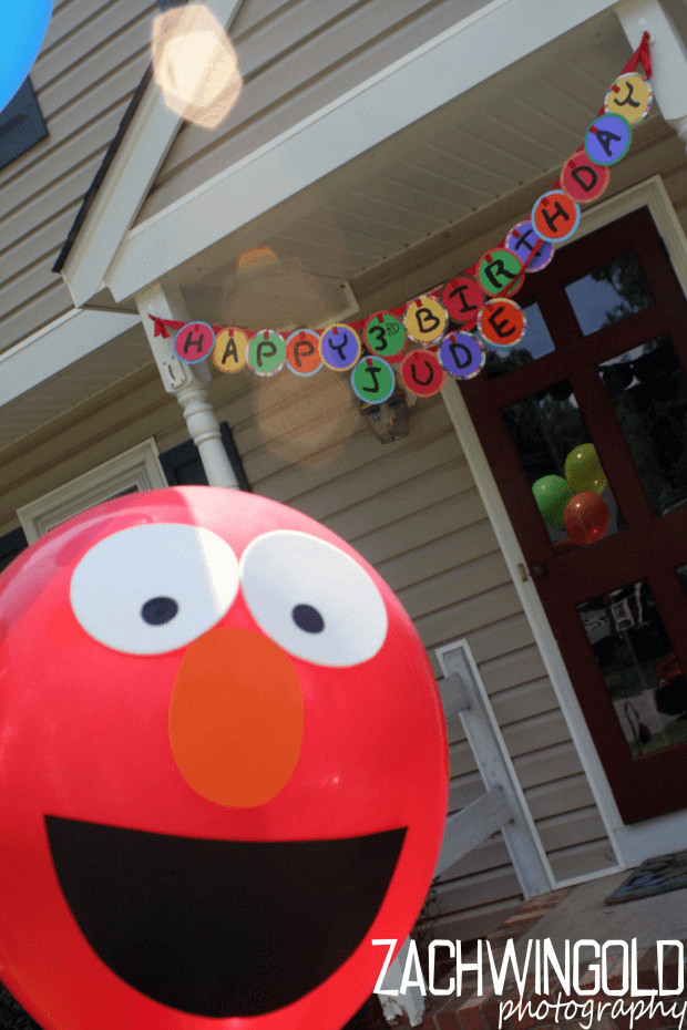 DIY Elmo Decorations
 23 Sensational Sesame Street Party Ideas Spaceships and