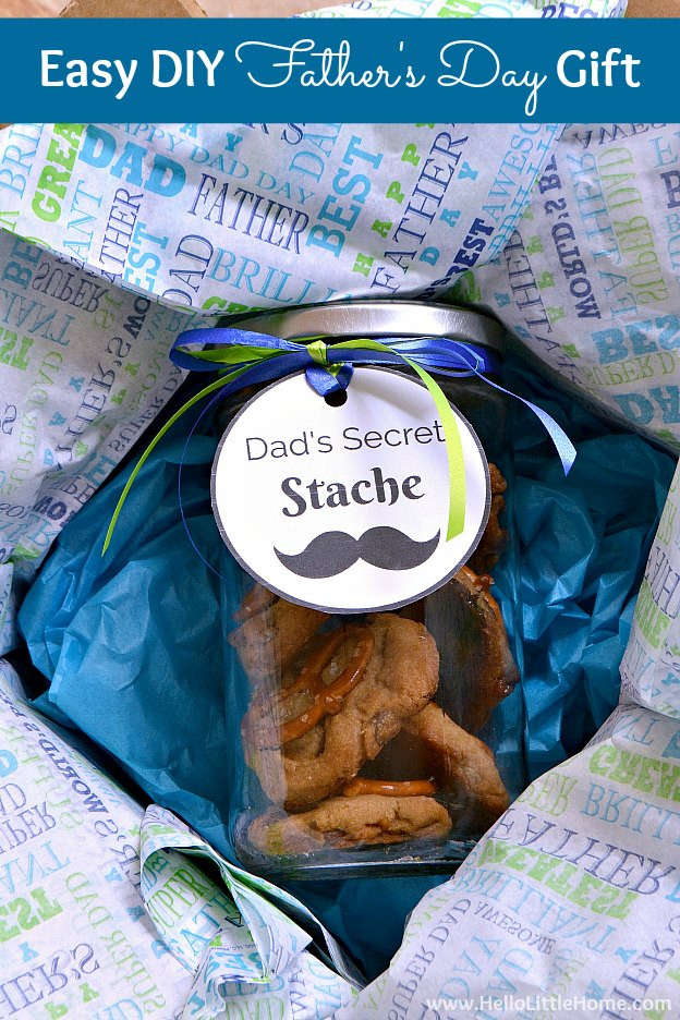 DIY Father'S Day Gifts From Kids
 Easy DIY Father s Day Gift Idea Dad s Secret Stache