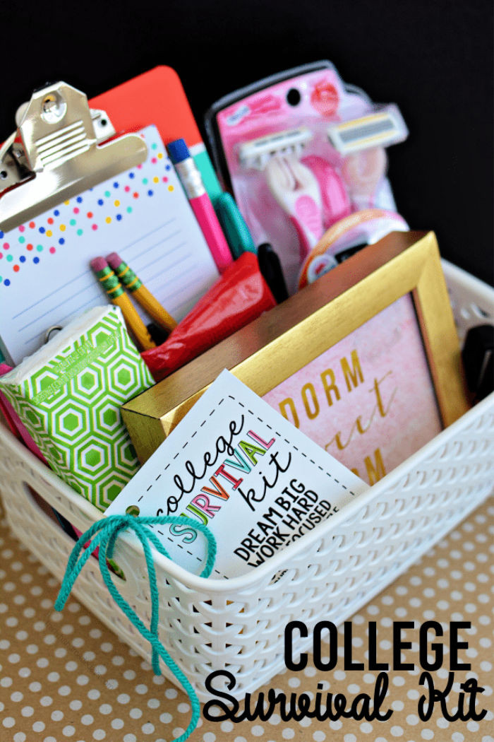 DIY Gifts For College Students
 70 Inexpensive DIY Gift Basket Ideas DIY Gifts Page 4