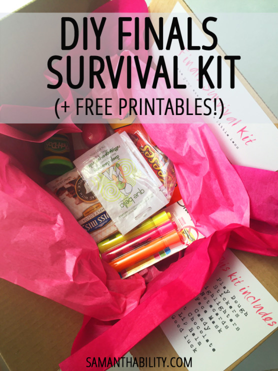 DIY Gifts For College Students
 DIY Finals Survival Kit