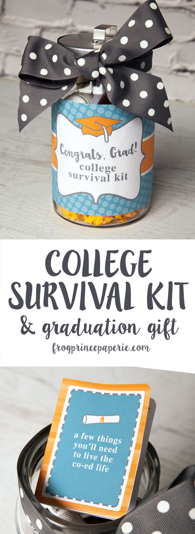 DIY Grad Gifts
 College Survival Kit DIY Graduation Gift Frog Prince Paperie