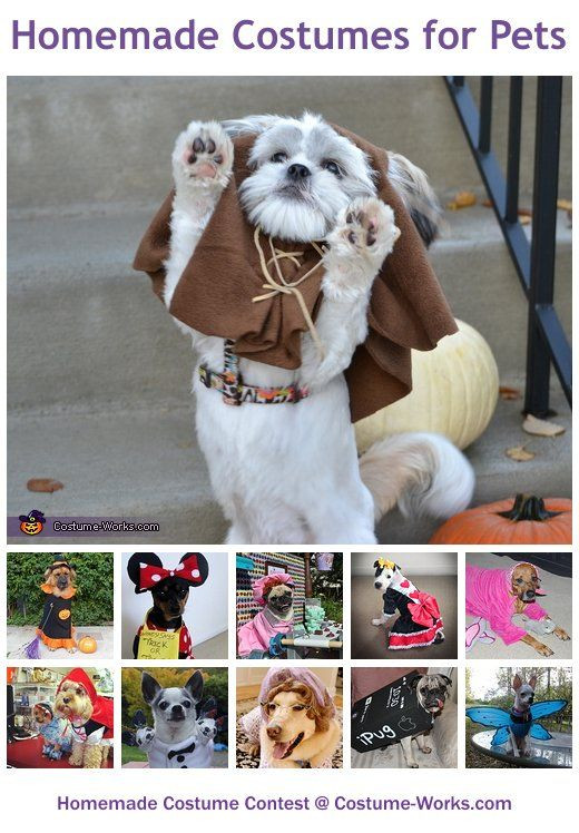 DIY Halloween Costume For Dogs
 Homemade Costumes for Pets