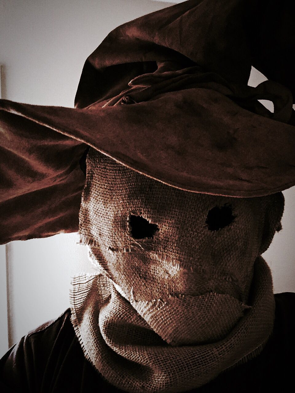 DIY Halloween Masks
 Homemade burlap Scarecrow mask